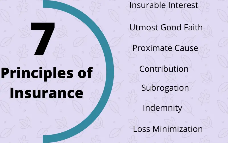 7 Basic Principles of Insurance
