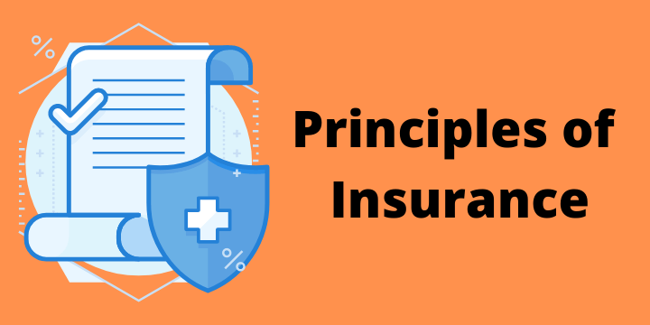 Principle of Insurance