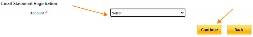 Select Account Details and click on continue