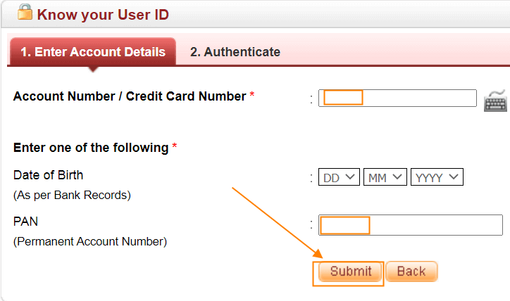 enter your Account Number, DOB, PAN Number and click on the Submit