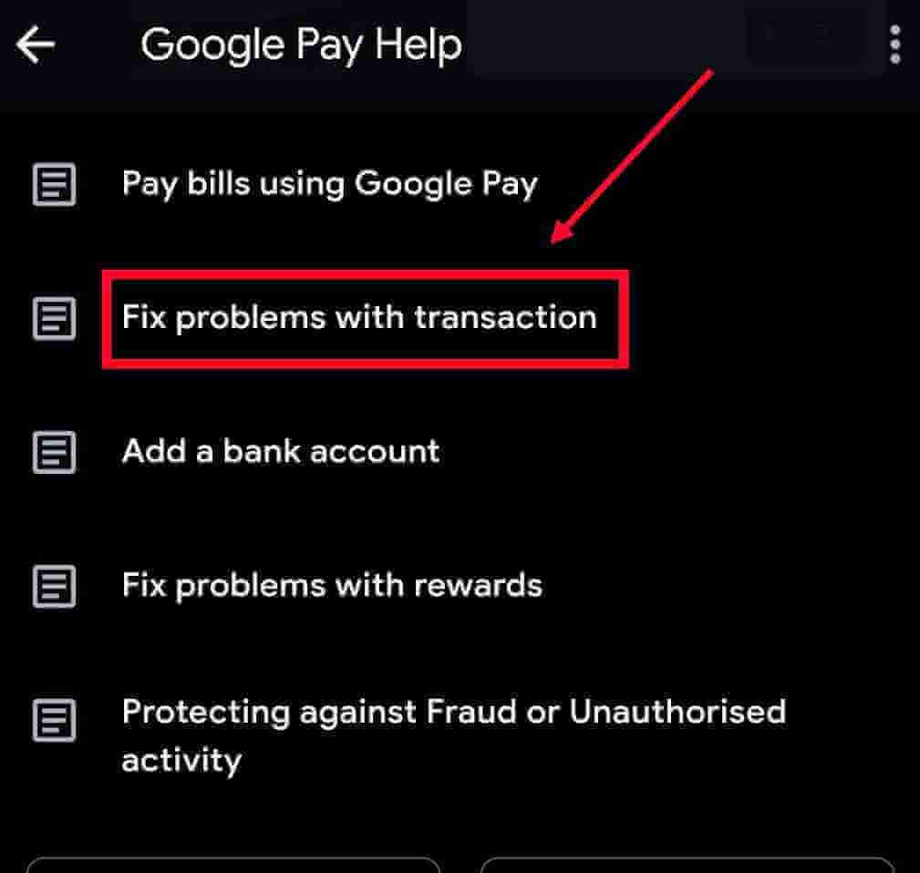 Chat with Google Pay Support executive