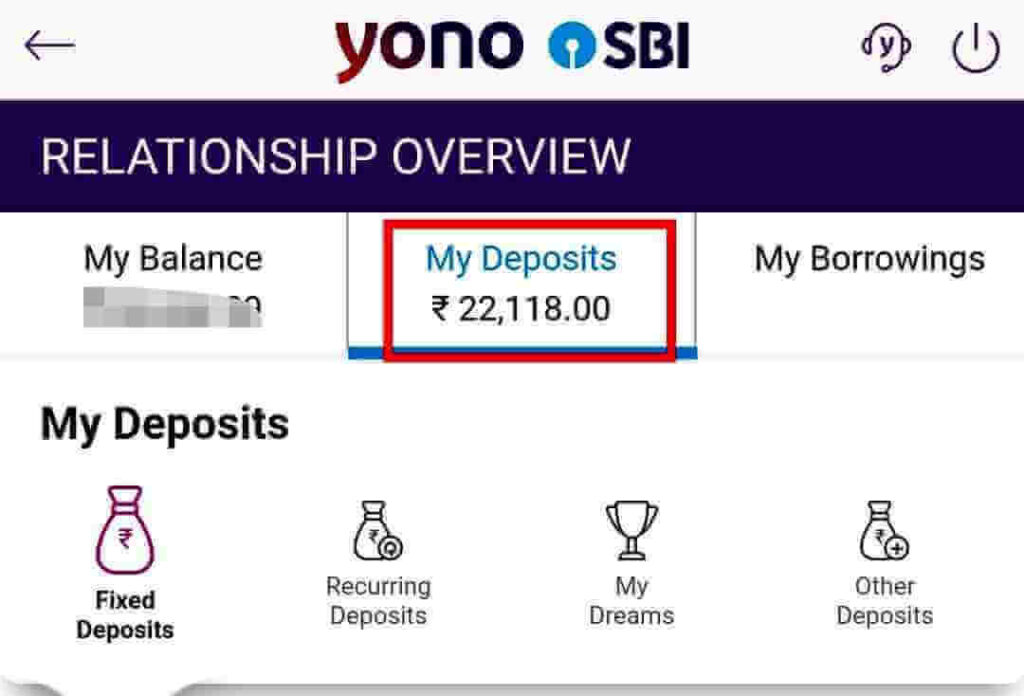 you will see your SBI PPF account balance under My Deposits option