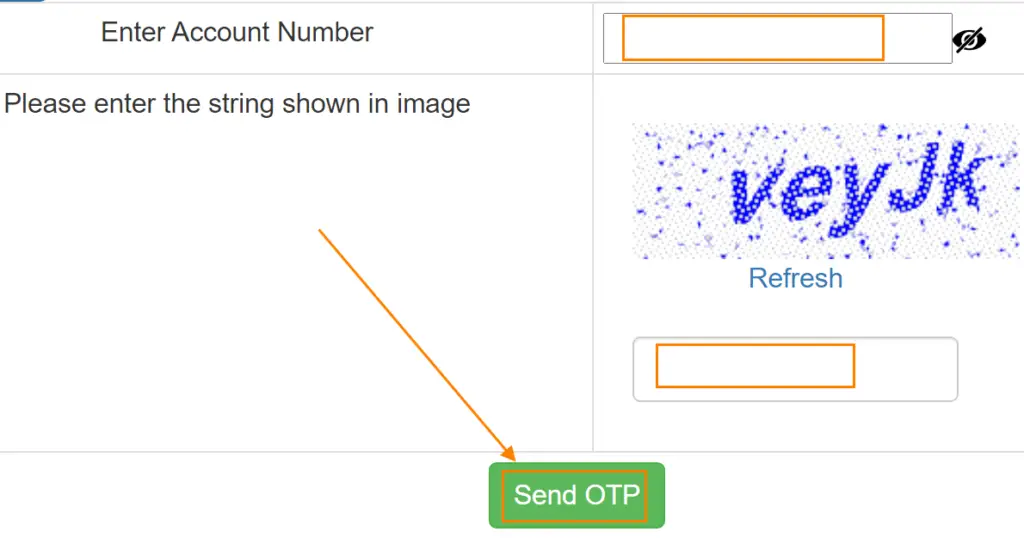 enter your 11 digits bank account number, Captcha, and click on the Send